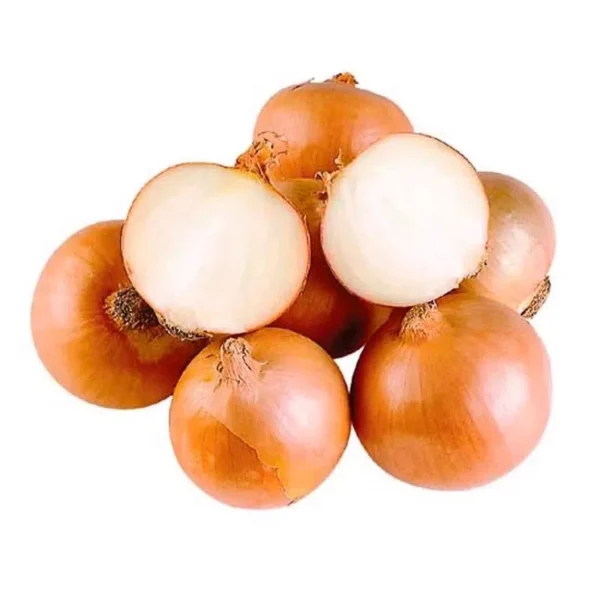 cebolla