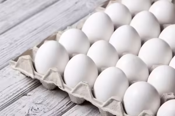 Bandeja de Huevo N°1 Blanco