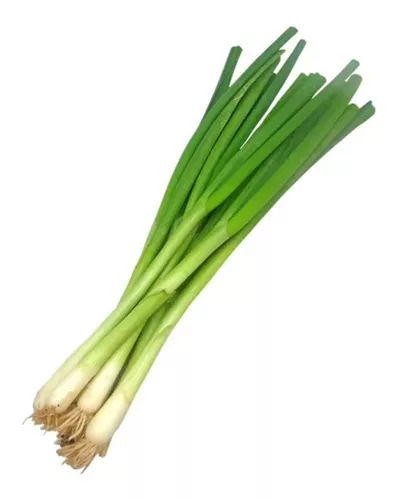 Cebolla De Verdeo 100gr