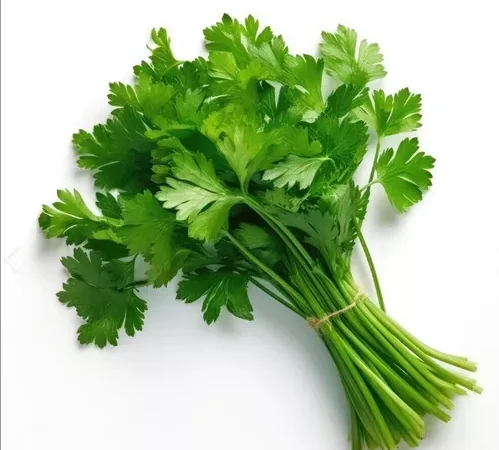 Perejil 100gr