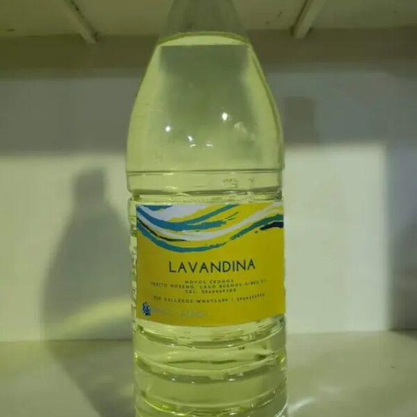 LAVANDINA 100ML(10 UNIDADES HACEN EL LITRO)